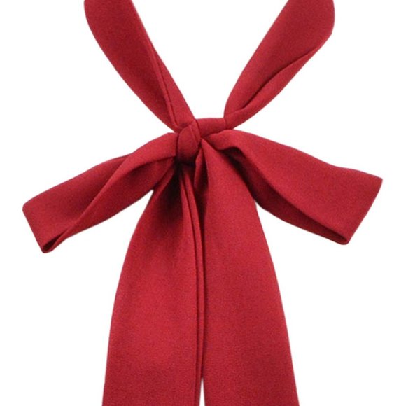 Folding Bow Tie Bow Ties